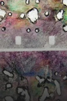 NOISE cover