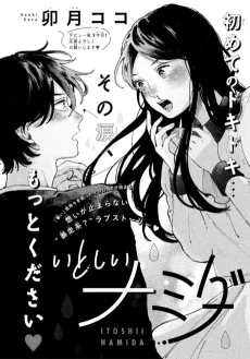 Itoshii Namida cover