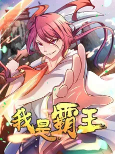Wo Shi Bawang cover