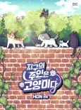Jigu-eui Juin-eun Goyang-ida cover