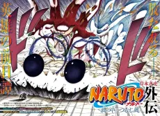 Naruto: The Whorl Within the Spiral cover