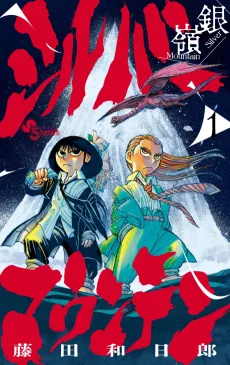 Silver Mountain cover
