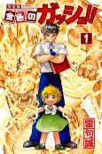 Konjiki no Gash!! Kanzenban cover