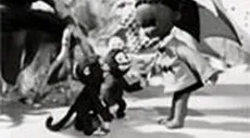 Chibikuro Sambo no Tora Taiji cover
