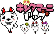 Kintamani Dog cover