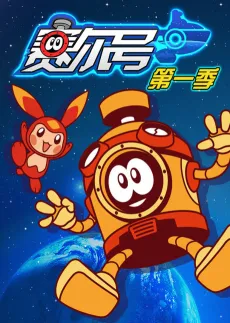 Seer cover