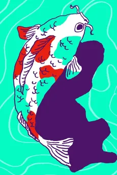 Funny cover