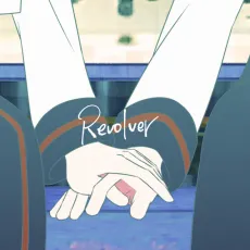 Revolver cover