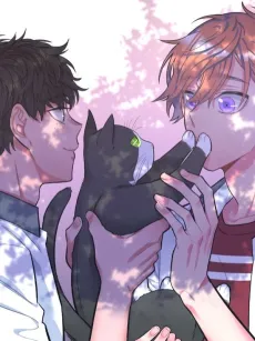 Eotgallimui Bada cover