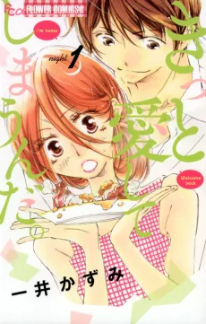 Kitto Aishiteshimaunda. cover