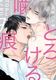 Torokeru Kami-kon cover