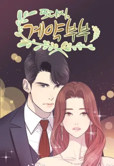 The Remarriage Contract cover
