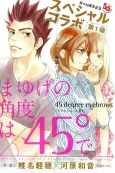 45° Eyebrows cover
