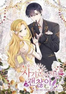 Lady Swindler cover