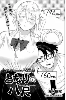 Tonari no Yasawa cover