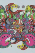 CHAOTIC ORDER cover