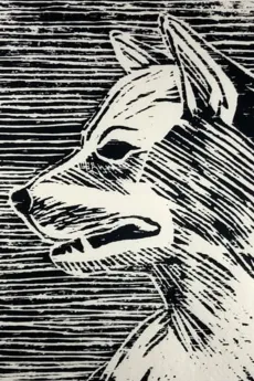 A DOG cover