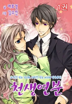 Match Made In Heaven cover