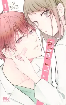 Houtai Gokko cover