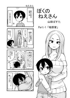 Boku no Nee-san cover