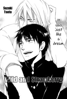 Wild and Strawberry cover