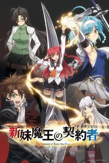 The Testament of Sister New Devil: Tojo Basara's Hard, Sweet Daily Life cover