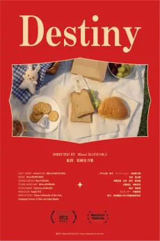 Destiny cover