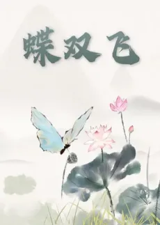 Die Shuangfei cover