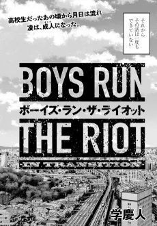 BOYS RUN THE RIOT -IN TRANSITION- cover
