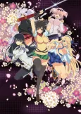 Senran Kagura: Ninja Flash! cover