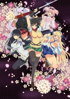 Senran Kagura: Ninja Flash! cover