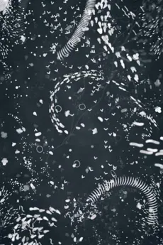 A4 Microcosm cover