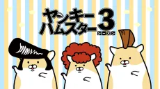Yankee Hamster Season 3 cover