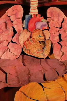 Internal Organs University cover