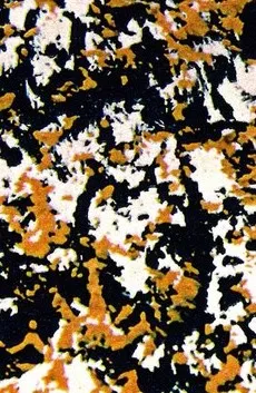 Henkei Sakuhin Dai 4-ban: Ekiga cover