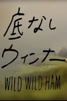 WILD WILD HAM cover