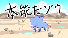 Passionate Elephant cover
