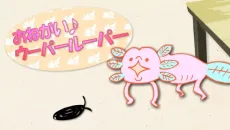 Oh! Wooper Looper cover