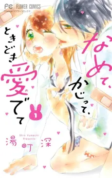 Namete, Kajitte, Tokidoki Medete cover