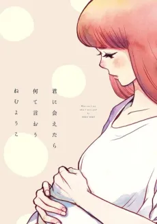 What Will I Say When I Meet You? cover