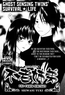 Furou Kyoudai cover
