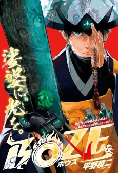 Boze cover