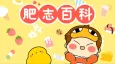 Fatchi Baike 6 cover