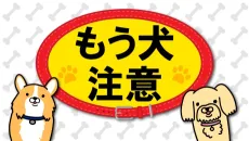Mou Inu Chuui cover