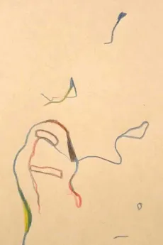 Saka no Me cover