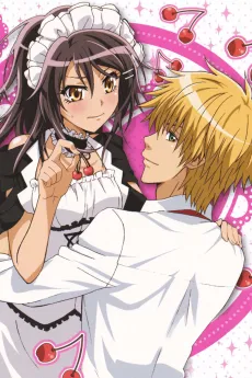 Maid-Sama! It's an extra! cover