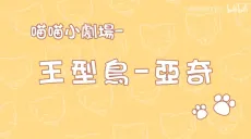 Miao Miao Xiao Juchang cover