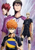 Haikyu!! The Movie: Battle of Concepts cover