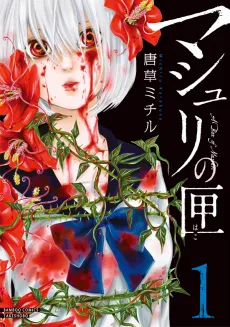 Mashuri no Hako cover
