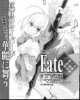 Fate/Extra cover